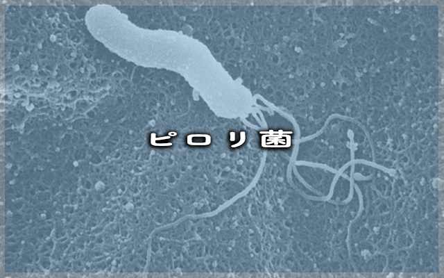 ピロリ菌